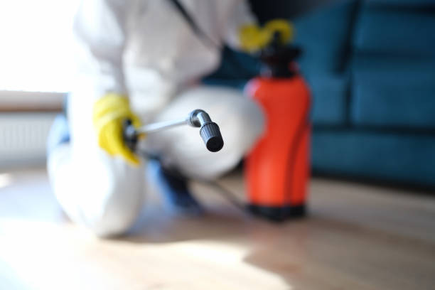 Best Mold Documentation for Insurance Claims  in Auberry, CA