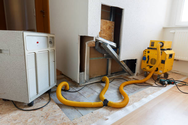 Mold Odor Removal Services in Auberry, CA